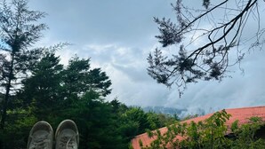 Miscellaneous - Secluded Chalet in Cerro de la Muerte Coffee Region with Fireplace & Green Views (San José)