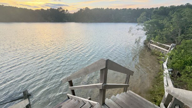 Terraza de madera con vistas a un lago tranquilo y una orilla boscosa.