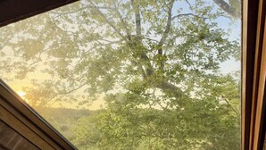 Ventana de tragaluz con vista a árboles y cielo despejado.