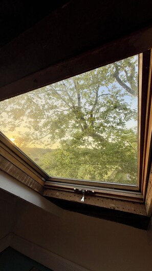 Ein Dachfenster mit Blick auf Bäume und einen klaren Himmel.