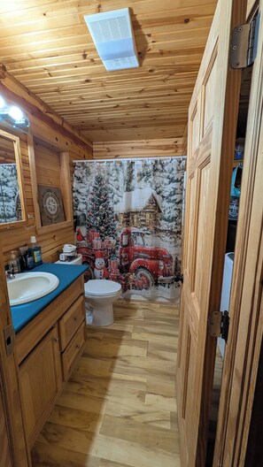 Jetted bath, hair dryer, towels, soap - Lakes of The North Ski, Snowmobile, Golf, Outdoor Paradise 3-bedroom house (Elmira)