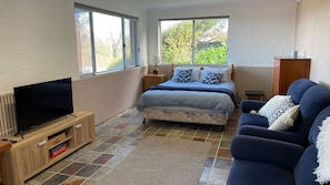 Un dormitorio con cama, televisor, sofá y ventana.