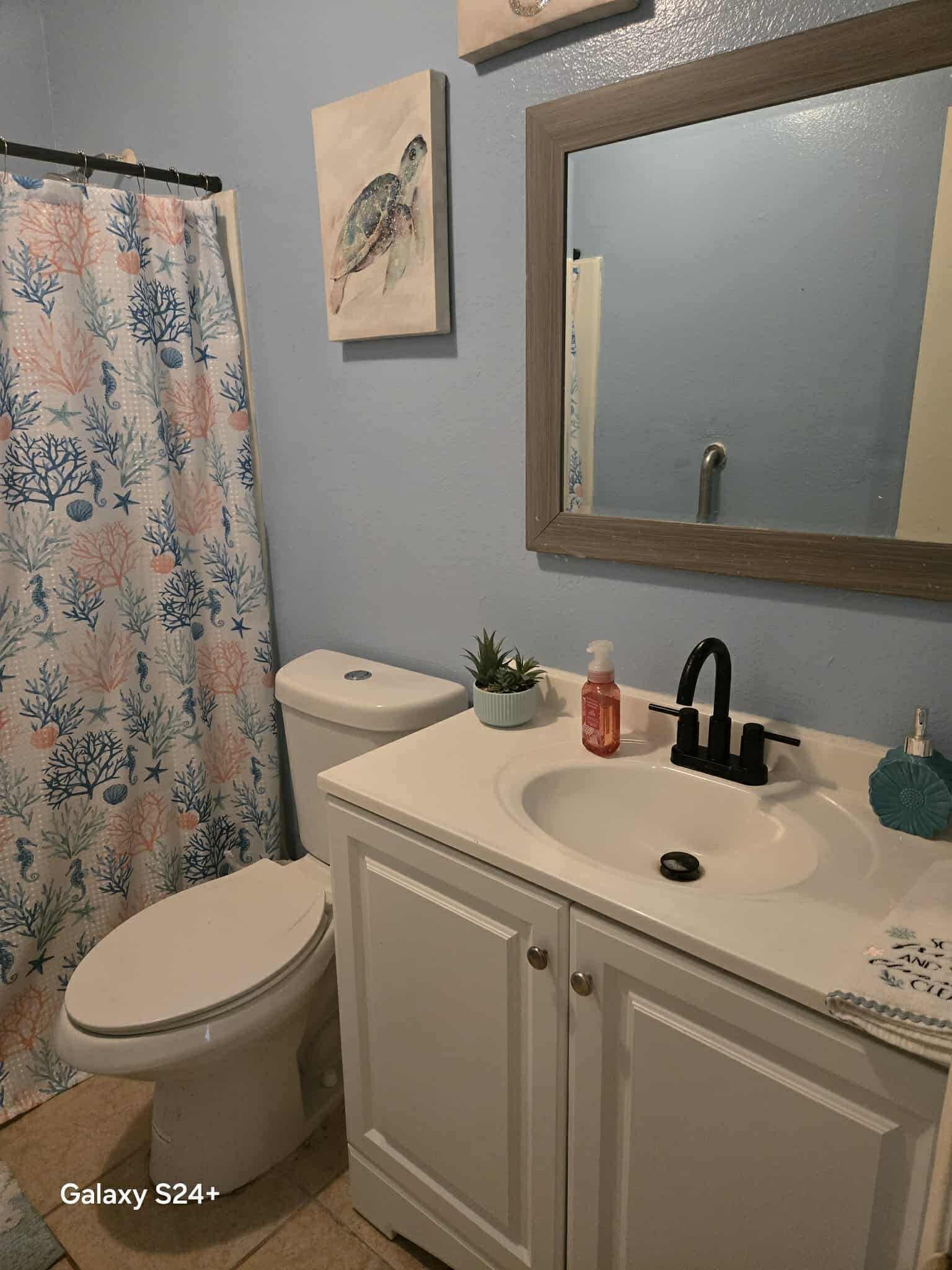 Hair dryer, towels, soap, toilet paper