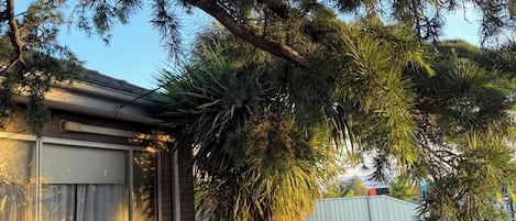 ハウス 3 ベッドルーム | テラス / パティオ