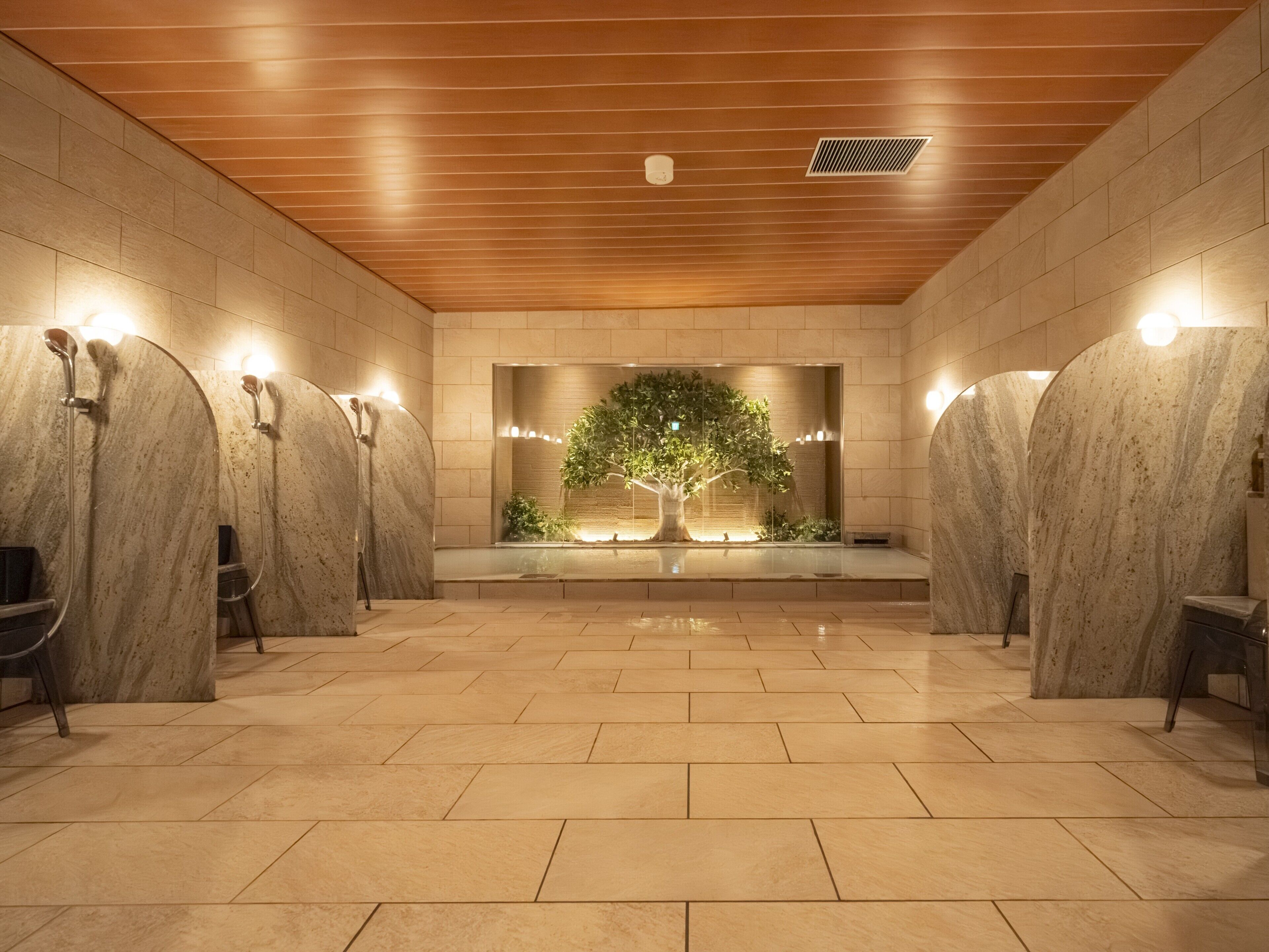 Public bath