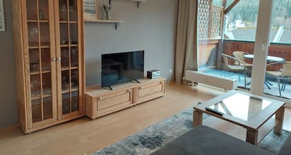 Grundlsee vacation apartment - Charming vacation apartment right on the lakeshore