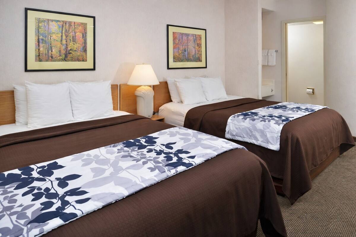 Chambre de base double, 2 grands lits, non-fumeur, animaux de compagnie acceptés | Fer et planche à repasser, accès au Wi-Fi (inclus), literie fournie