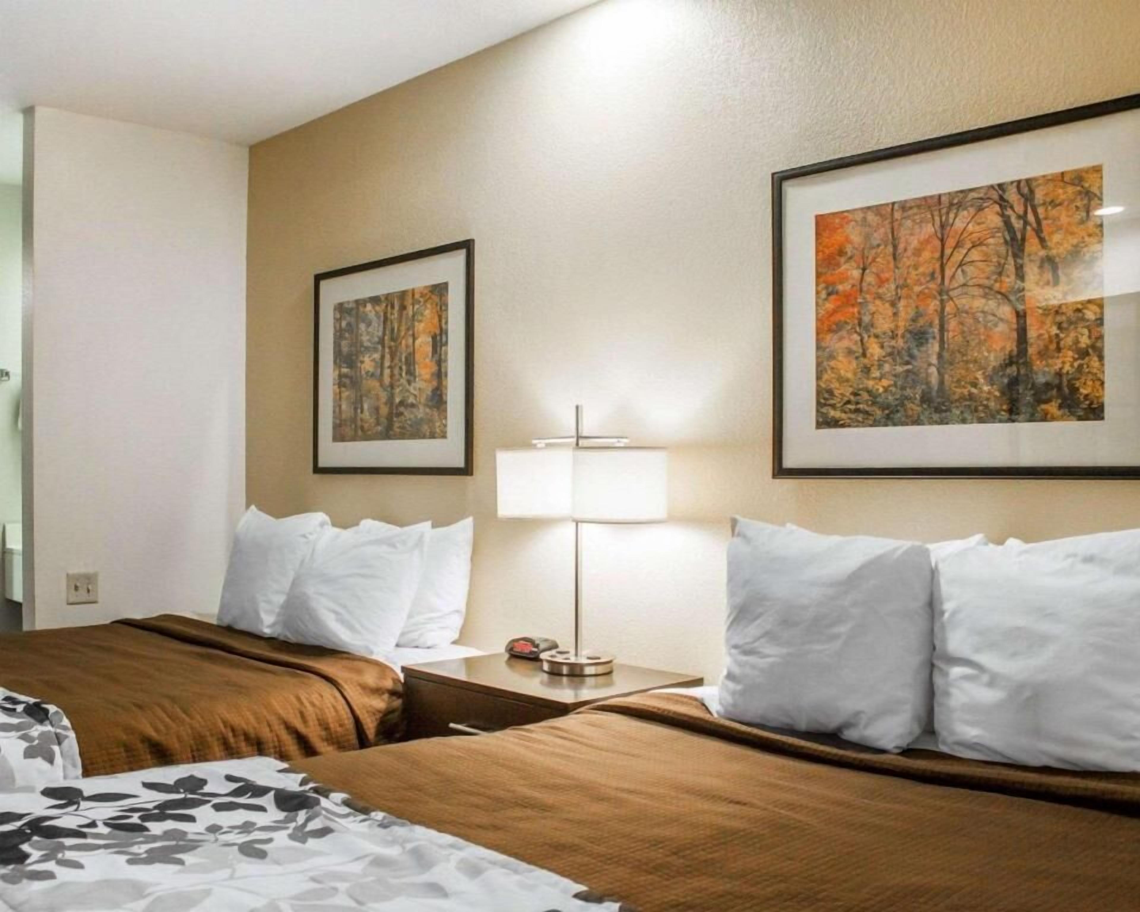 Una habitación de hotel con dos camas, una mesita de noche con lámpara y dos cuadros en la pared.