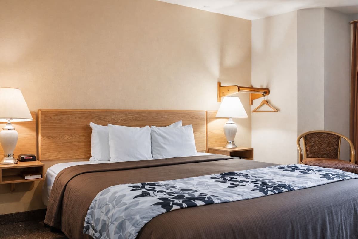 Chambre simple de base, 1 très grand lit, non-fumeur, animaux de compagnie acceptés | Fer et planche à repasser, accès au Wi-Fi (inclus), literie fournie