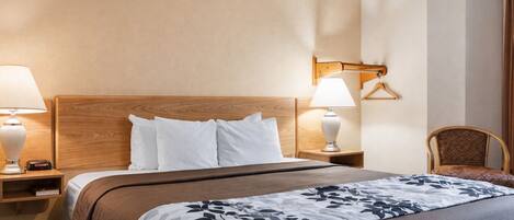 Basic Single Room, 1 King Bed, Non Smoking, Pets allowed