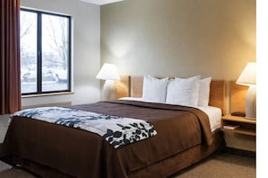 Basic Single Room, 1 Queen Bed, Non Smoking, Pets Allowed | Iron/ironing board, free WiFi, bed sheets, wheelchair access - Layover Inn Boise Airport (Boise)