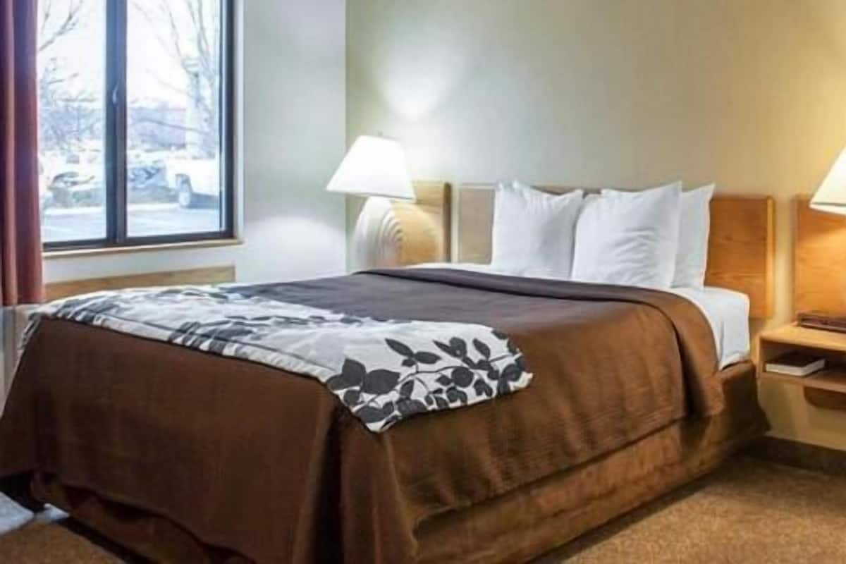 Chambre simple de base, 1 grand lit, non-fumeur, animaux de compagnie acceptés | Fer et planche à repasser, accès au Wi-Fi (inclus), literie fournie
