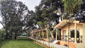 Un hôtel avec un chemin bordé d’arbres menant à un bâtiment doté d’un balcon.