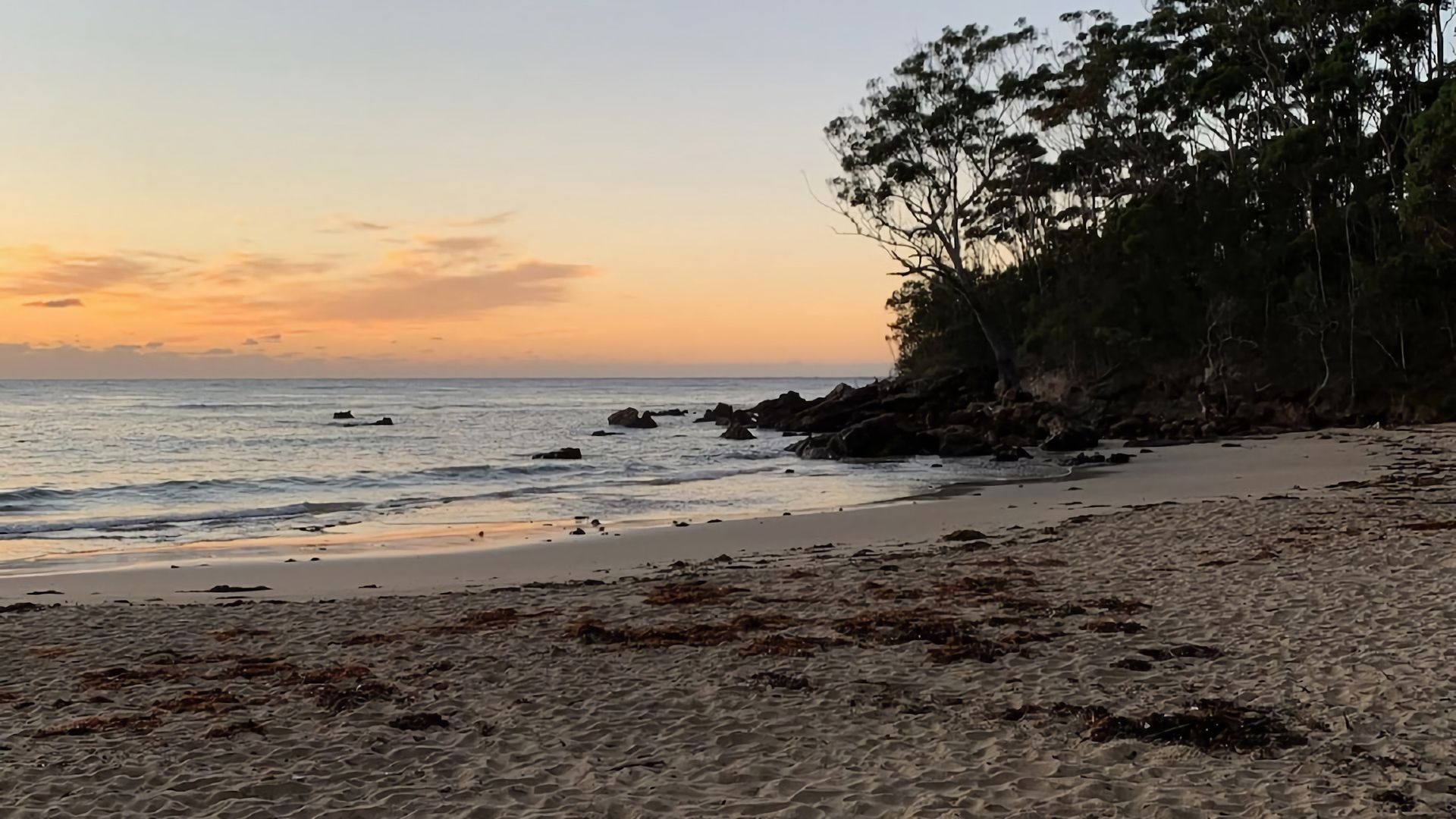 A beach with a rocky shoreline and trees in the background.