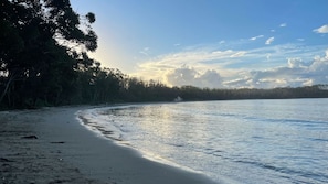 A beach with a calm sea, sandy shore, and a line of trees in the background.