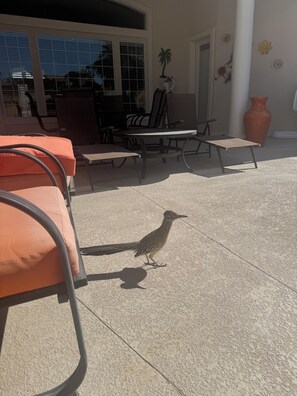 Terrace/patio - "FORE" King Suites (Mesquite)