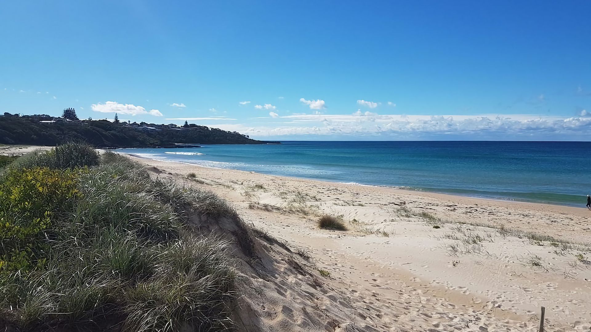 Ein Strand mit blauem Himmel, sandigem Ufer und Vegetation.