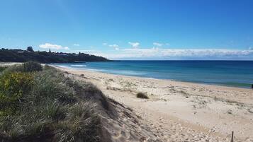 Ein Strand mit blauem Himmel, sandigem Ufer und Vegetation.