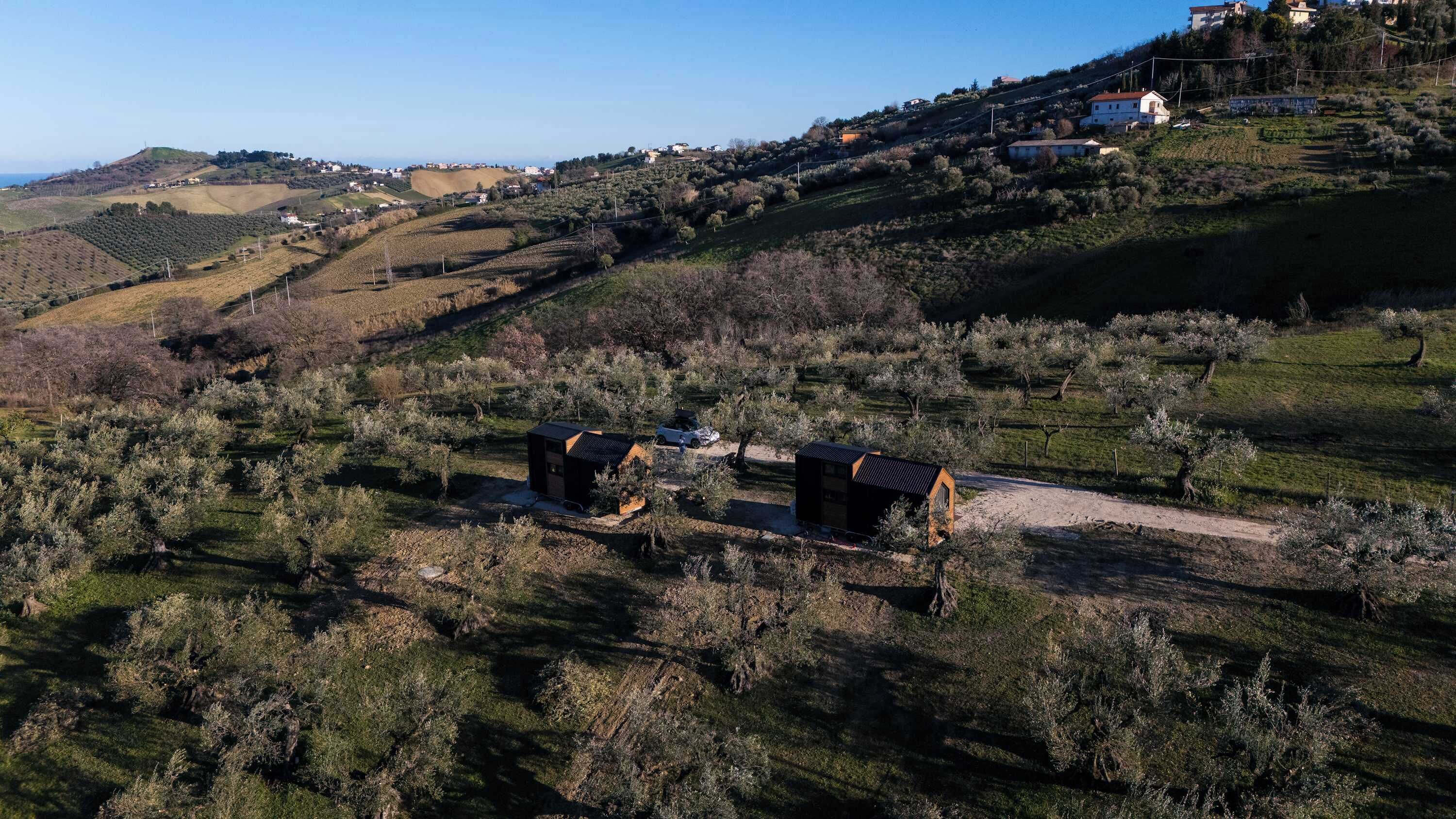 Un paisaje rural con olivares, dos edificios modernos y una vista distante de casas en una colina.