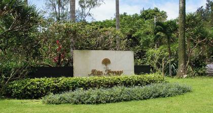 Okinawa | Nago | 50yearold Ryukyu traditional ho / Nago Okinawa