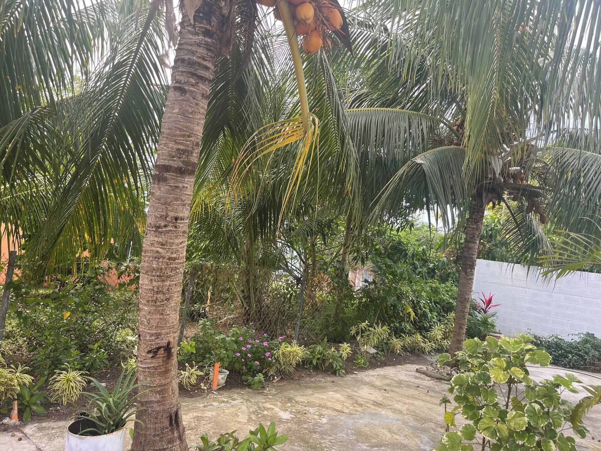 Apartment, 2 Bedrooms, Balcony, Garden View | Property grounds