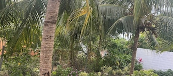 Paradis Des Palmiers 4 Gorgeous 2-bedroom Flat