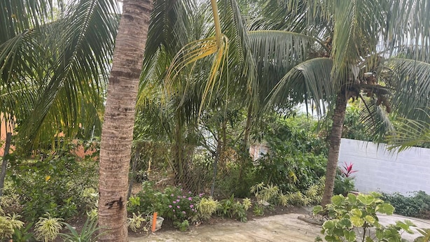 Apartment, 2 Bedrooms, Patio | Property grounds - Paradis des Palmiers 2 Gorgeous 2bedroom Flat (Potters Village)