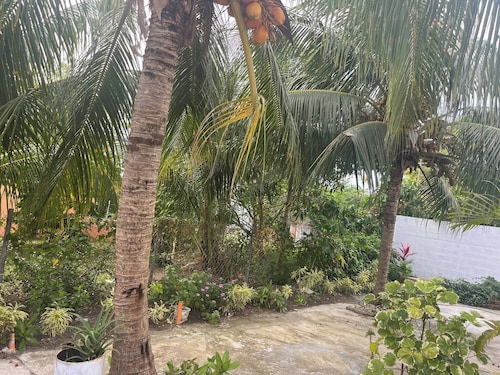 Paradis des Palmiers 2 Gorgeous 2bedroom Flat