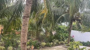 Apartment, 2 Bedrooms, Patio | Property grounds