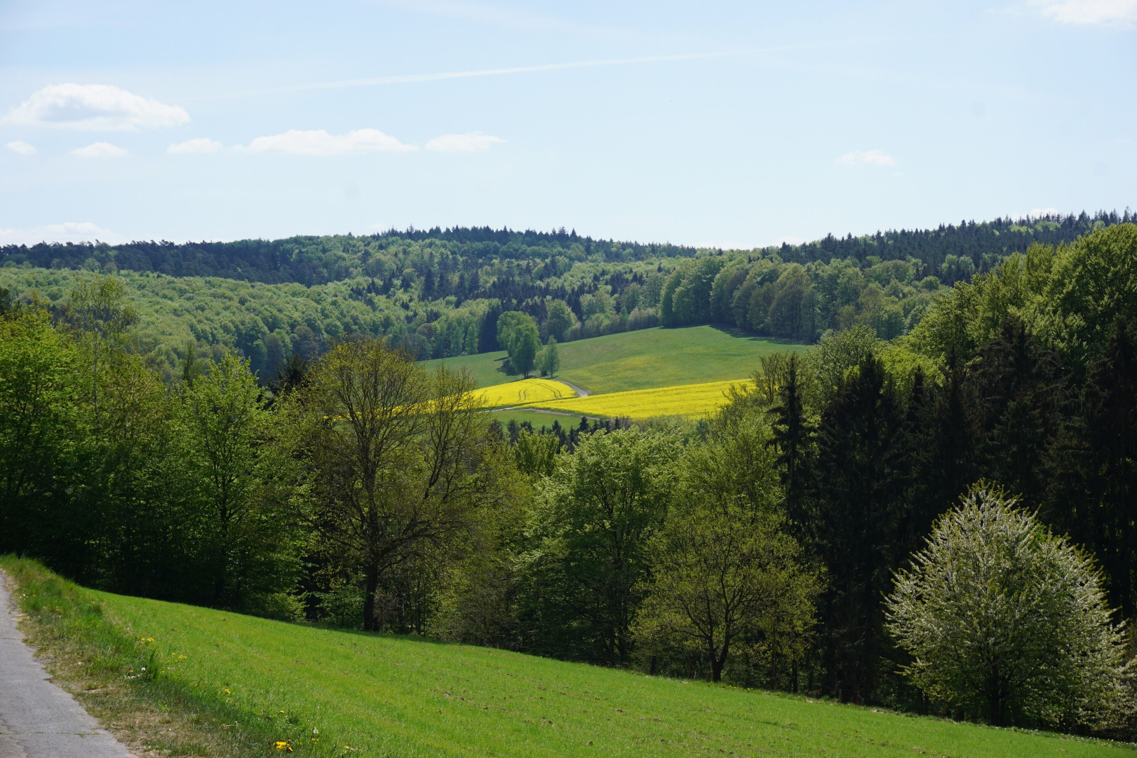 Un paysage rural avec une route, des champs verdoyants et une forêt dense.