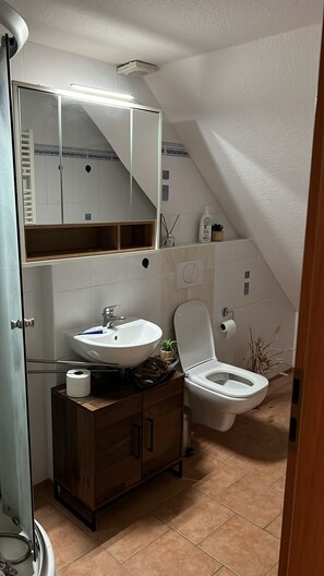 Hair dryer, towels, soap, toilet paper