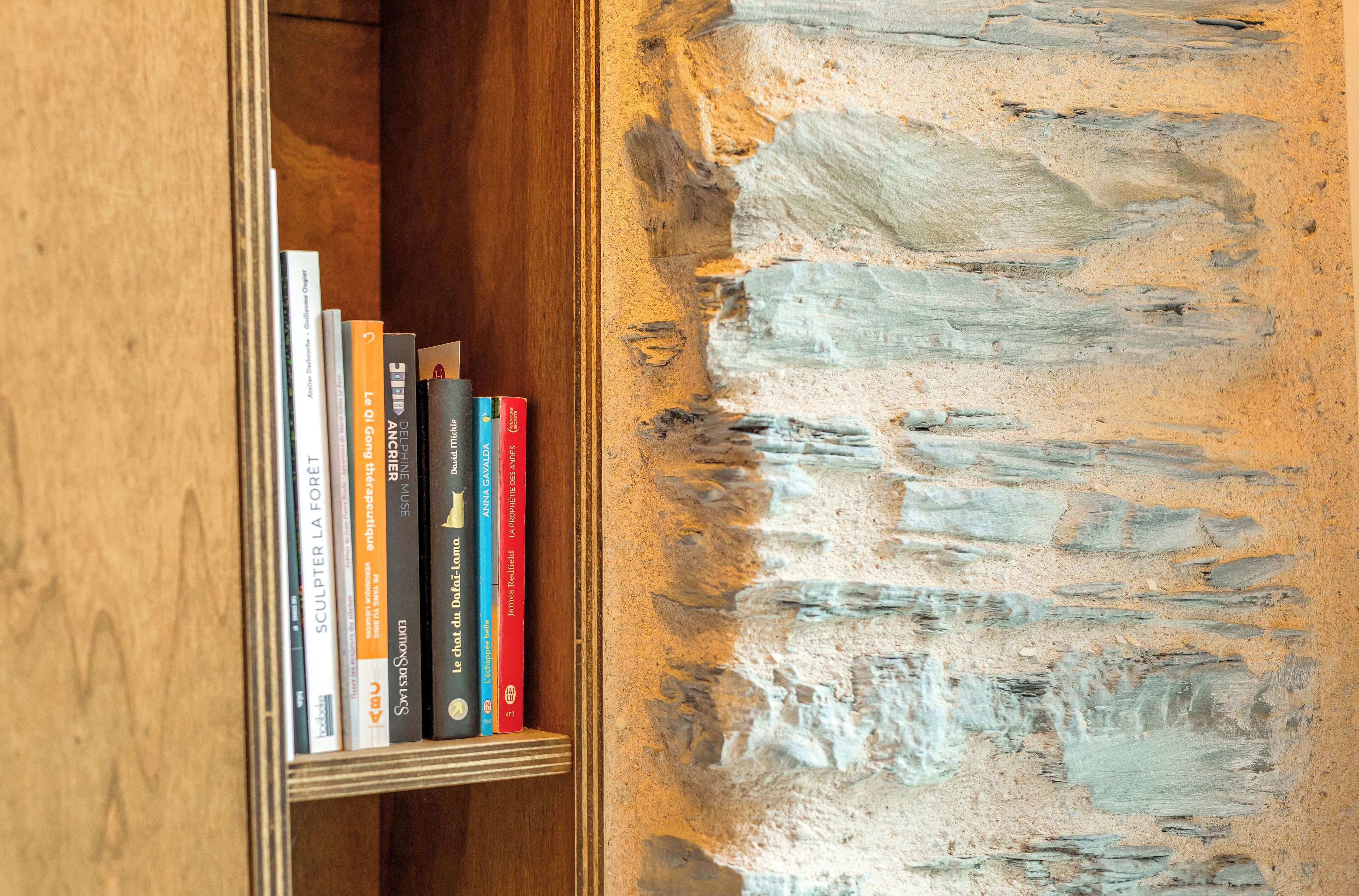 A bookshelf with books and a textured wall.