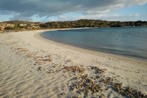 Ranta
