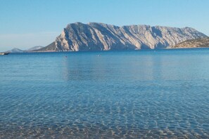Miscellaneous - A/C, Sea View, 400 mt from the beach (San Teodoro)