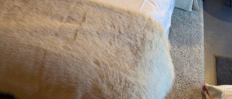 1 chambre, fer et planche Ă repasser, accĂšs Internet, draps fournis