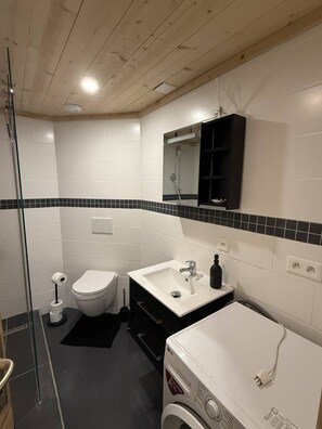Shower, hair dryer - Little Chalet Piguet (Gryon)
