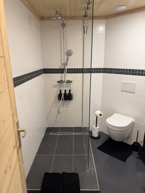Shower, hair dryer - Little Chalet Piguet (Gryon)