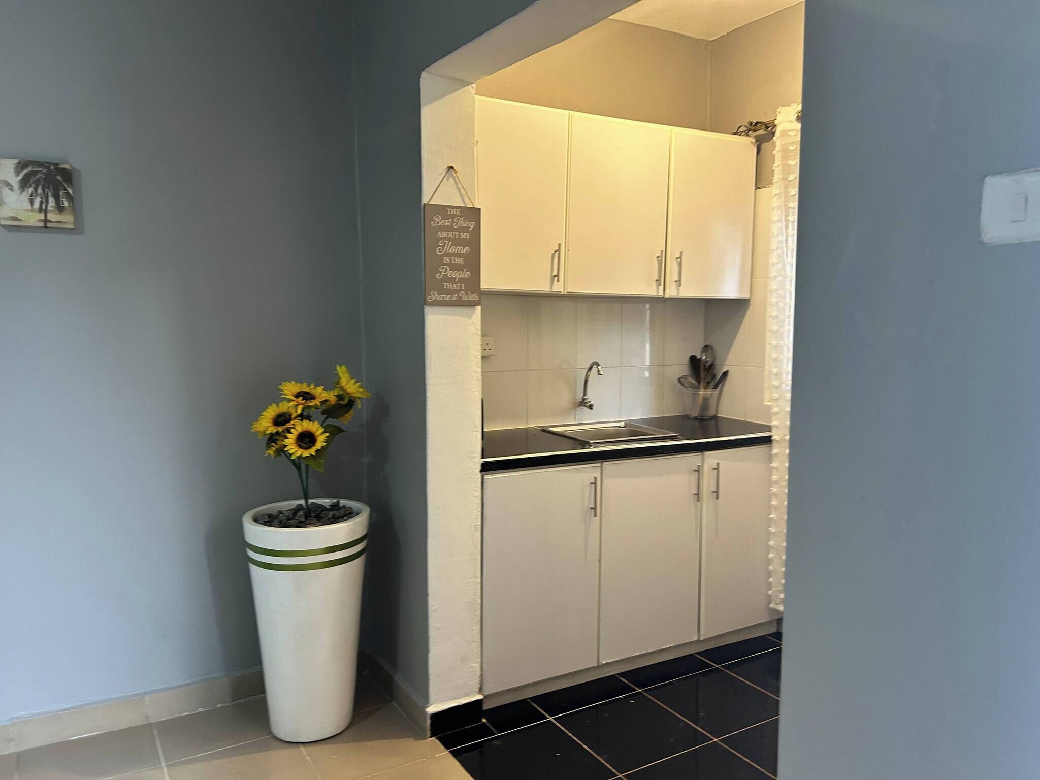 Fridge, microwave, toaster, cookware/dishes/utensils