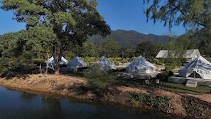 Área da propriedade