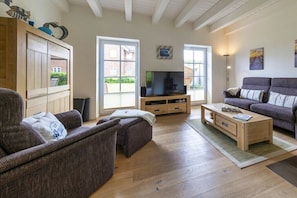 TV connectée, cheminée, lecteur de DVD, livres