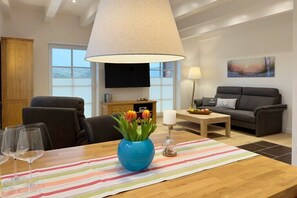 TV connectée, cheminée, chaîne hi-fi
