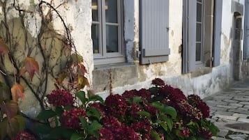 Detalle del exterior