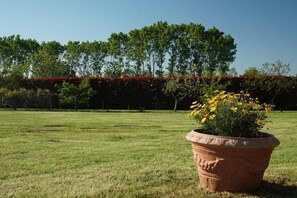 Property grounds - B&B Cascina del Gelso (Santena)