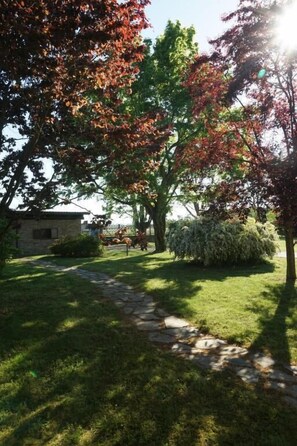 Property grounds - B&B Cascina del Gelso (Santena)