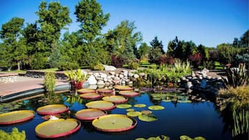 Overnatningsstedets område