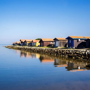 Exterior - Vacation Rental in Gujan-Mestras, Arcachon Bay (Gujan-Mestras)