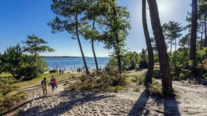 Beach nearby - Vacation Rental in Gujan-Mestras, Arcachon Bay (Gujan-Mestras)