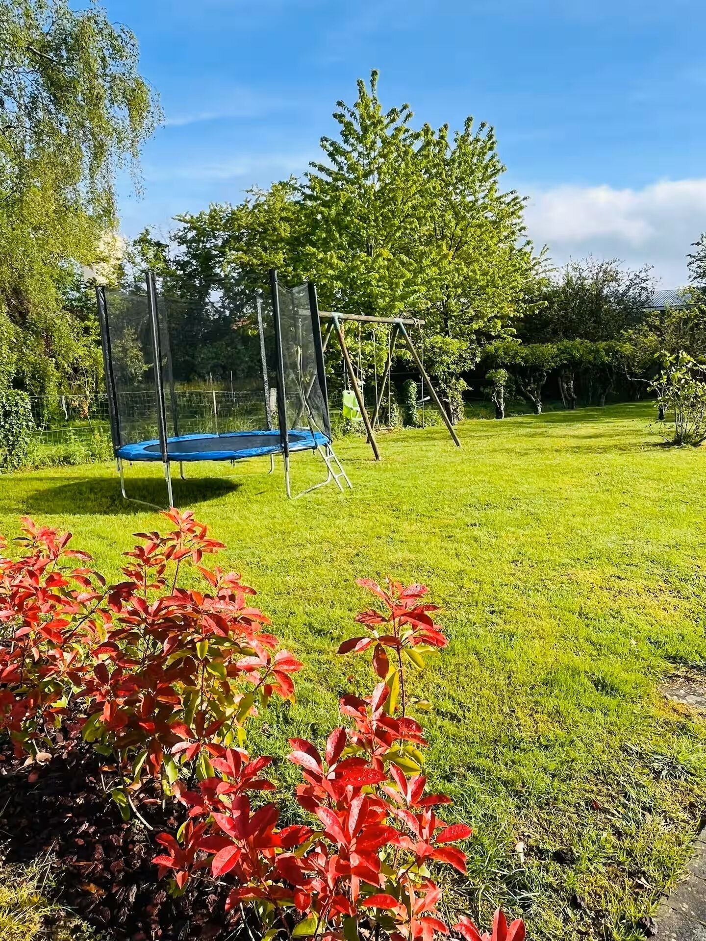 Jardines del alojamiento