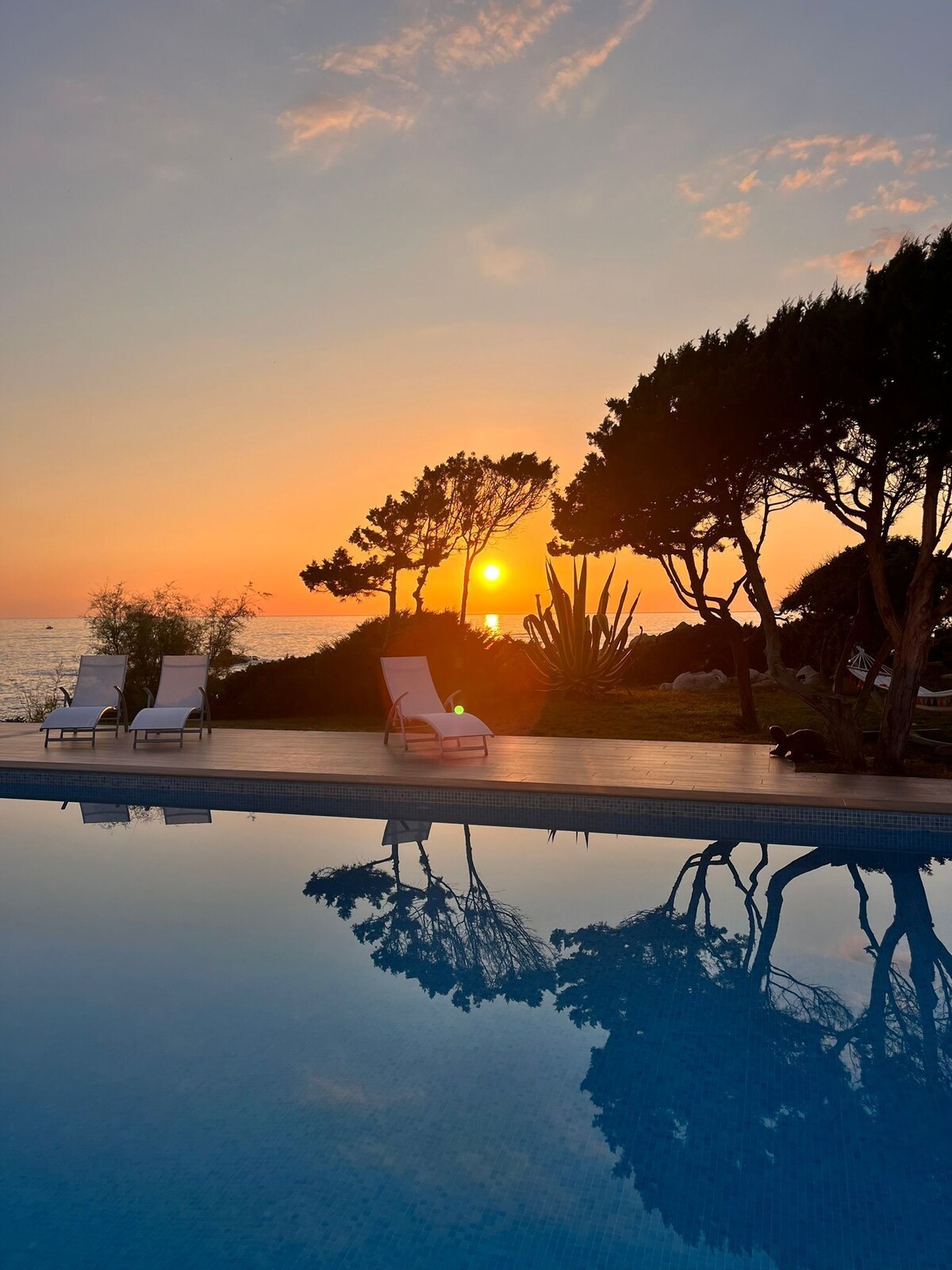 オーナーのプロフィール画像