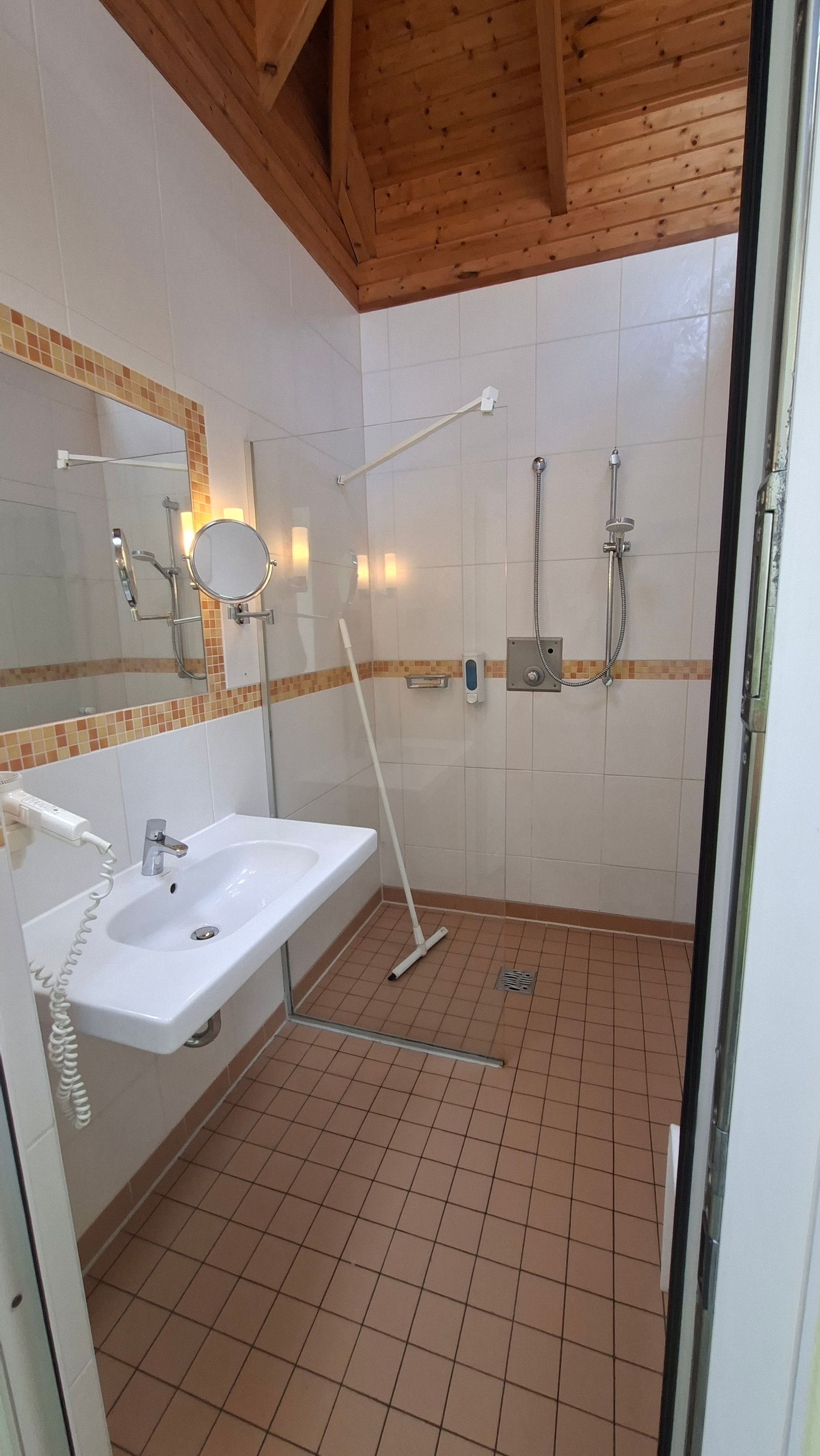 Une salle de bain équipée d’un lavabo, d’un miroir, d’une douche et d’un balai-serpillière.
